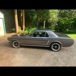 Meet your Posher, Jonas